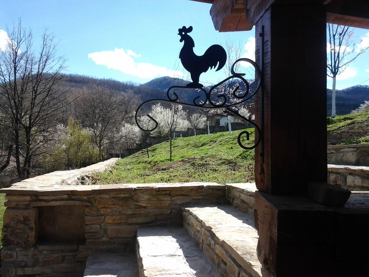 Villa Lavanda Елена Экстерьер фото